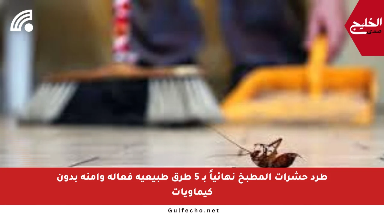 طرد حشرات المطبخ نهائياً بـ 5 طرق طبيعية فعالة وآمنة بدون كيماويات